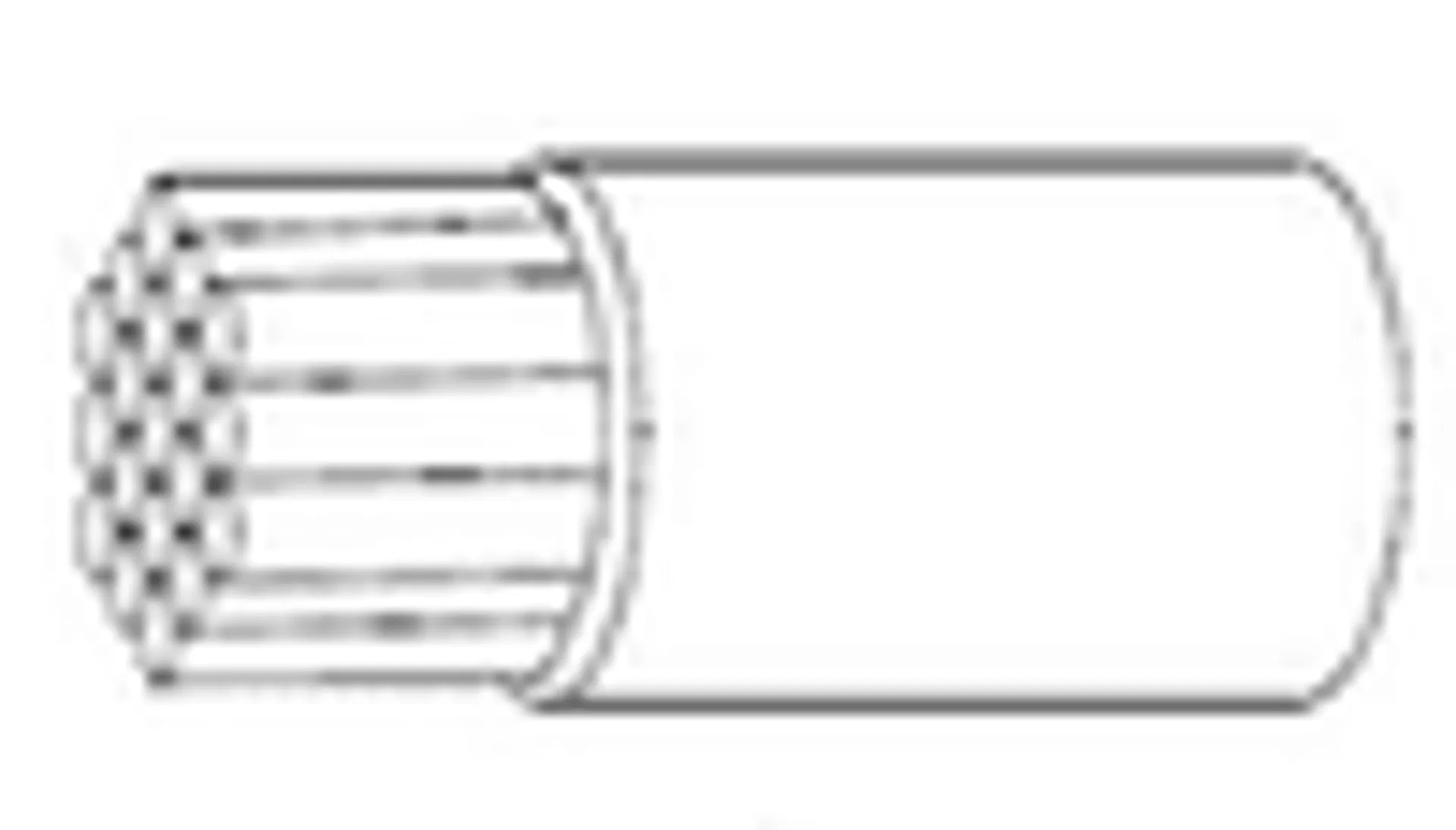 55/9952-28-3(LAT1)