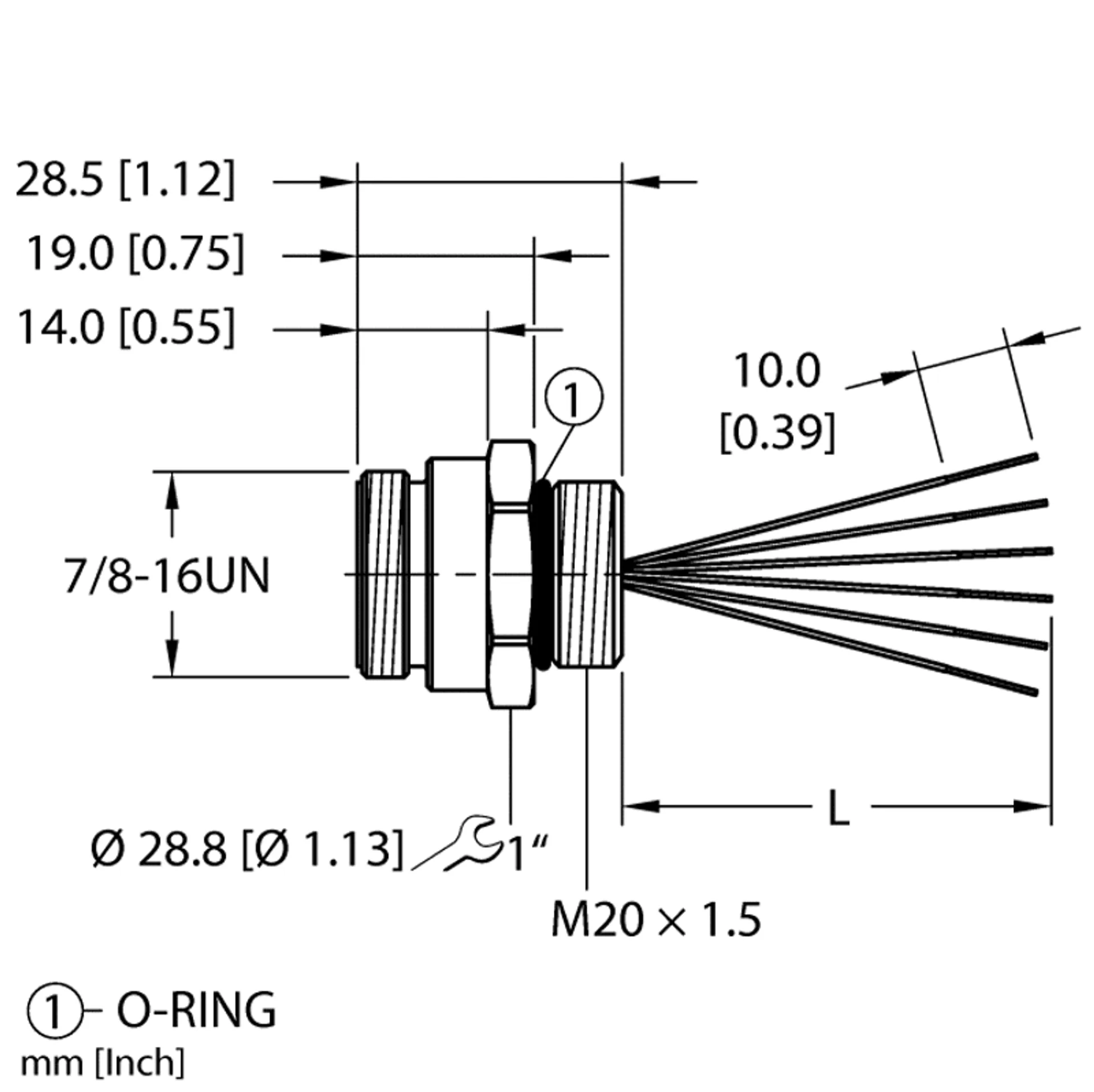 RSF 55-1M/M20