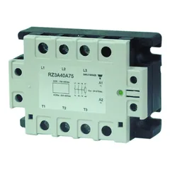 Image of the product RZ3A48D25P