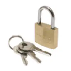 Image of the product D-PIC-PADLOCK