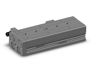Image of the product MXS20-100AS-M9PL-X11