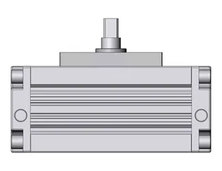 Image of the product CDRA1FX100-100Z