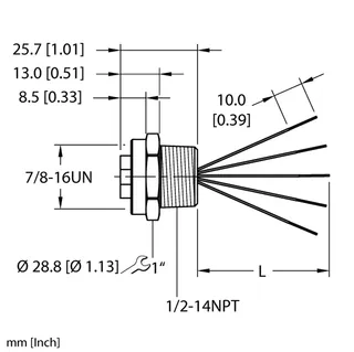 Image of the product RKF 50-10M/NPT