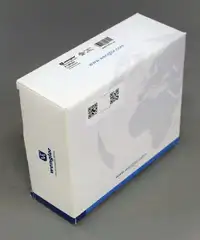 Image of the product P1XF001
