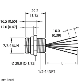 Image of the product RSF 68-1M/NPT