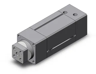Image of the product MGZ80-100-M9PSAPC