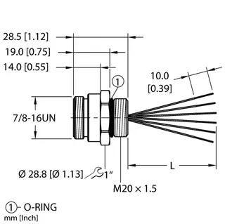 Image of the product RSF 66-1M/M20