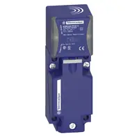 Schneider Electric XS9C4A1PCG13