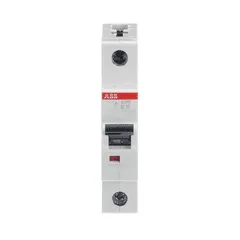 2CDS251001R1165 ABB, Altro