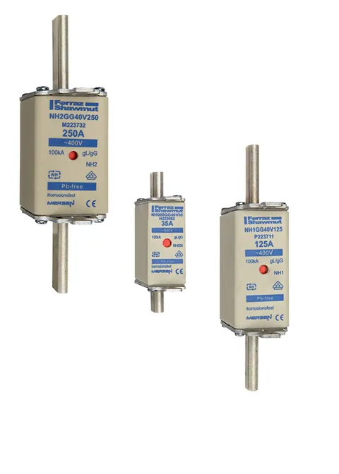 Mersen F223703 NH Fuse-Link gG 400VAC Size 00 160A Double Indicator/Live Tags — Accesorios generales