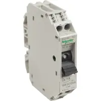 Schneider Electric GB2CD06
