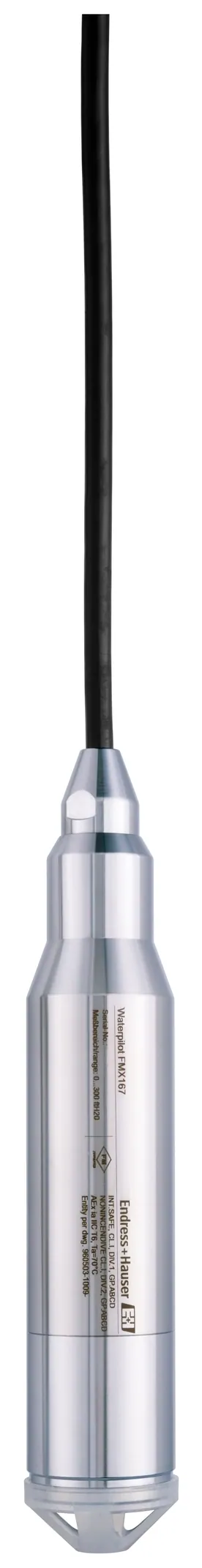 Endress+Hauser FMX167-A1BMA1B7 Waterpilot FMX167