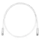UTPSP5Y Panduit