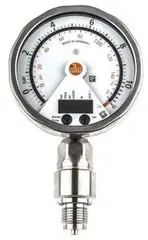 IFM PG2454