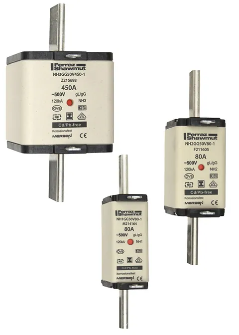 Mersen C216202 NH fuse-link gG, 500VAC, size 0, 40A with double indicator and insulated tags — Accessori generali