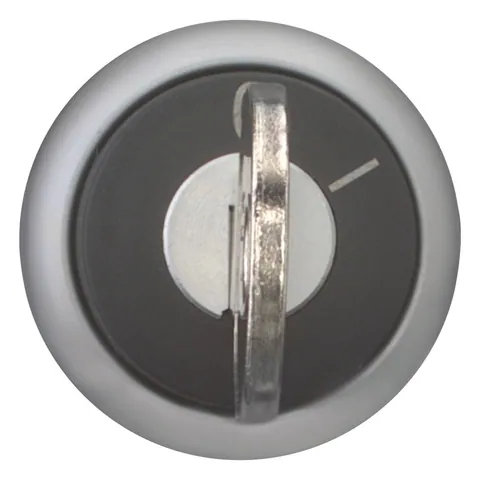 Eaton 216887 216887 Model code: M22-WRS — General Accessories
