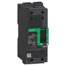 BDF26100 Schneider Electric, Interruttori automatici e fusibili