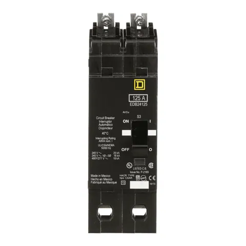 Schneider Electric EDB24125 Mini circuit breaker, E-Frame, 125A, 2 pole, 480Y/277VAC, 25kA max, bolt on — General Accessories