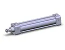 NCDA1B150-0700 SMC