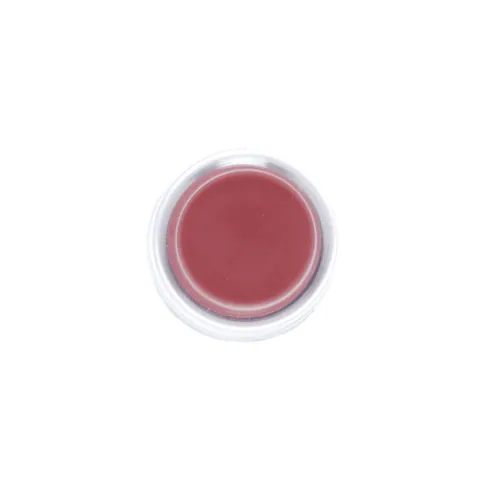 Schneider Electric ZB4BP4 Head for non illuminated push button, Harmony XB4, metal, projecting, red, 22mm, spring return, booted, unmarked — Control & HMI
