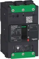 LV426101 Schneider Electric, Interruttori automatici e fusibili