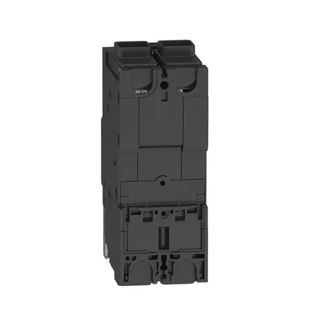 Schneider Electric BDF26100 Circuit breaker, PowerPacT B, 100A, 2 pole, 600Y/347VAC, 14kA, thermal magnetic, terminal nut, 80% — Circuit Breakers & Fuses