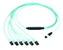 FSTHL6NLSNNM012 Panduit, Industrial Cables & Wires