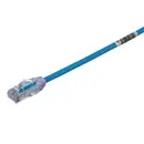 UTP28X10BU Panduit