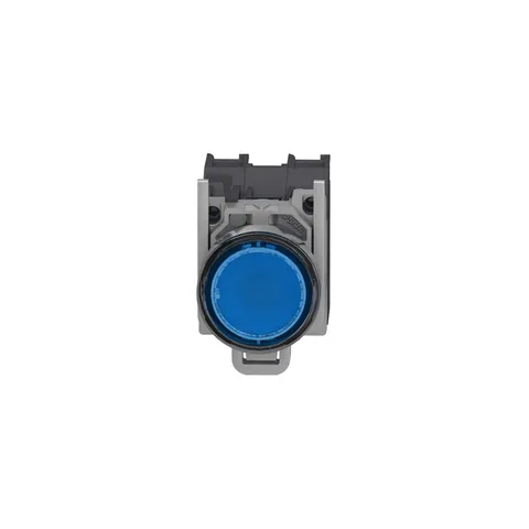 Schneider Electric XB4BP683BM5GEX Illuminated Push Button, Harmony XB4 - ATEX D — Switches & Modular Apparatus