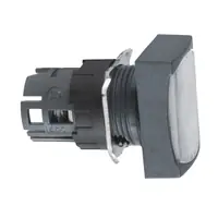 Schneider Electric ZB6DF1