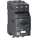 GV3L731 Schneider Electric, Interruptores automáticos y fusibles