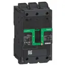 BGL36030LU Schneider Electric, PLCs