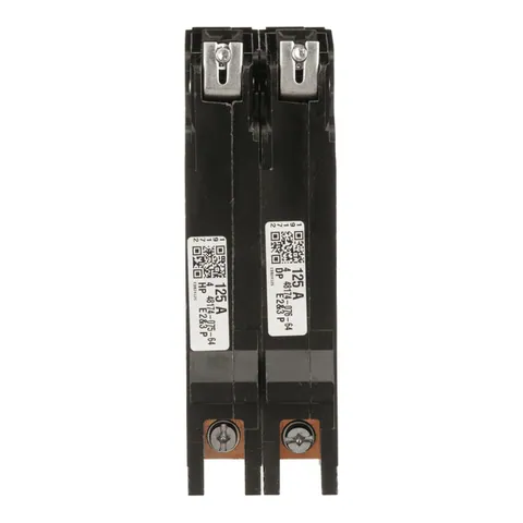 Schneider Electric EDB24125 Mini circuit breaker, E-Frame, 125A, 2 pole, 480Y/277VAC, 25kA max, bolt on — General Accessories