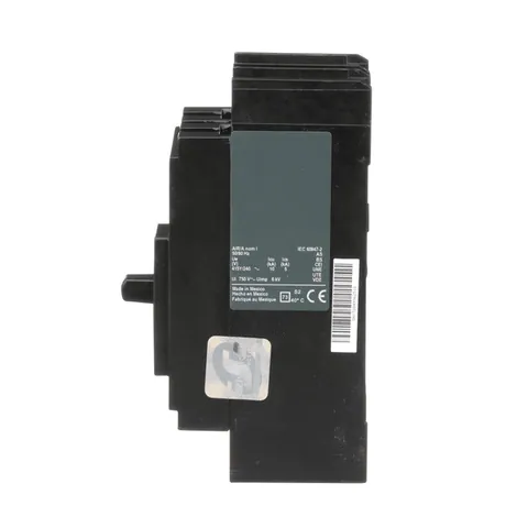 Schneider Electric QBL22100 Circuit breaker, PowerPacT Q, 100A, 2 pole, 240VAC, 10kA, lugs, thermal magnetic, 80% — General Accessories