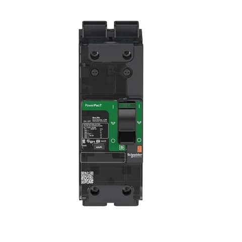 Schneider Electric BDL26110LU Circuit breaker, PowerPacT B, 110A, 2 pole, 600Y/347VAC, 14kA, lugs, thermal magnetic, 80%, control wire ON end — PLCs