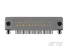 TE Connectivity 5747842-3 25 Msfl Plug Ra 318 (In,Fm,Bl) — Electronics & PCBs
