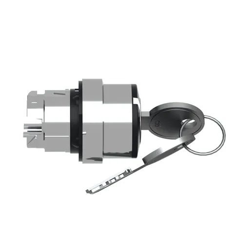 Schneider Electric ZB4BG214 Head for key selector switch, Harmony XB4, metal, black, 22mm, key 520E, 2 positions, stay put — Allgemeines Zubehör