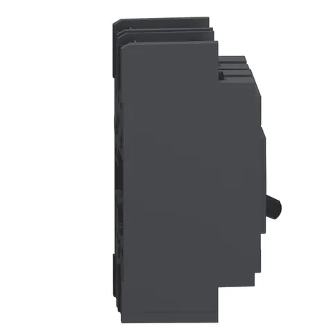 Schneider Electric QBL22100 Circuit breaker, PowerPacT Q, 100A, 2 pole, 240VAC, 10kA, lugs, thermal magnetic, 80% — General Accessories