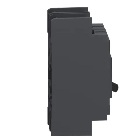 Schneider Electric QBL22125 PowerPacT Q Circuit Breaker, 125A, 2 Pole, 240VAC, 10kA, Lugs — Accessori generali