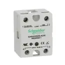 6240AXXSZS-AC90 Schneider Electric