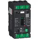 GV4PB50N Schneider Electric