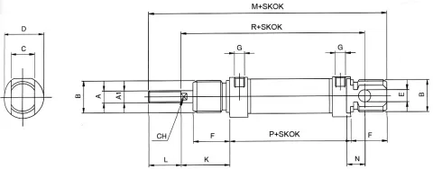 PNEUMAT SYSTEM ANM025.0100 Round Pneumatic Cylinder ISO6432 D25x100 with Pneumatic Cushioning — Pneumatic & Hydraulic Cylinders